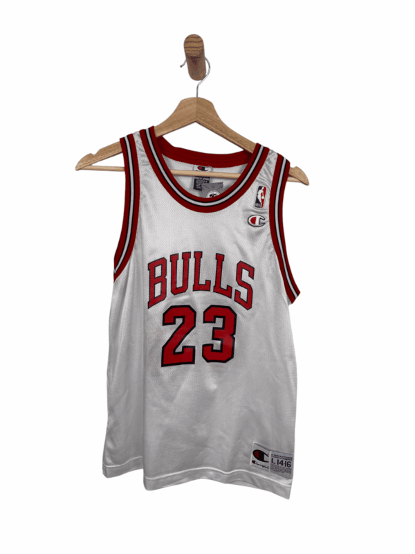Chicago bull champion Jordan 23